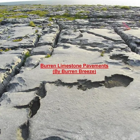 Burren Breeze 3*