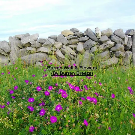 Burren Breeze